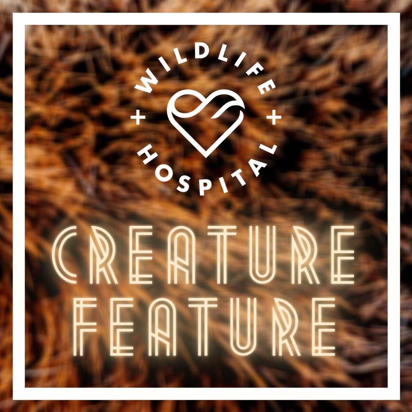 Creature Feature Podcast Image