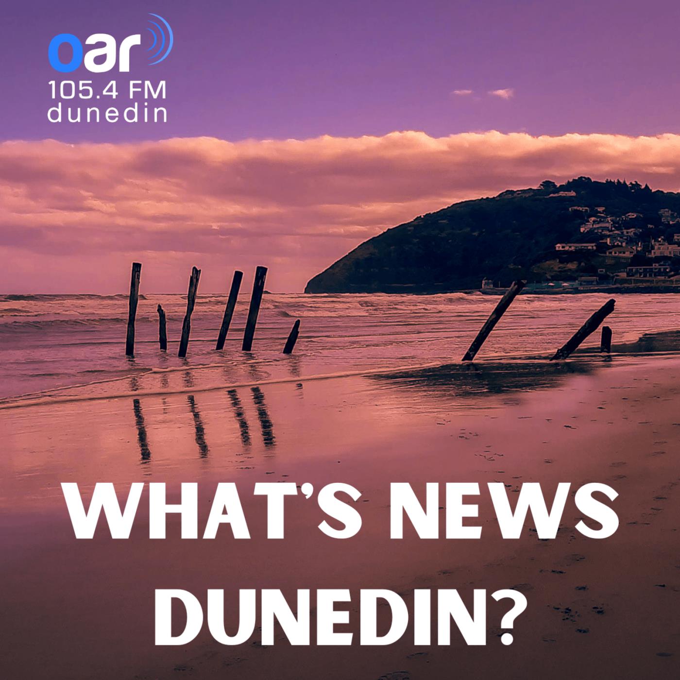 What's News Dunedin Podcast Image